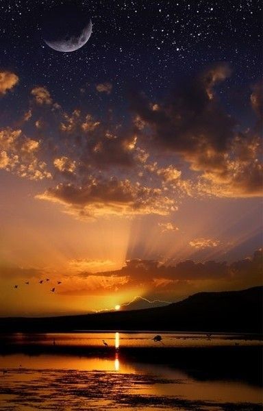 The beginnings- Stars &&nbsp;Sunshine